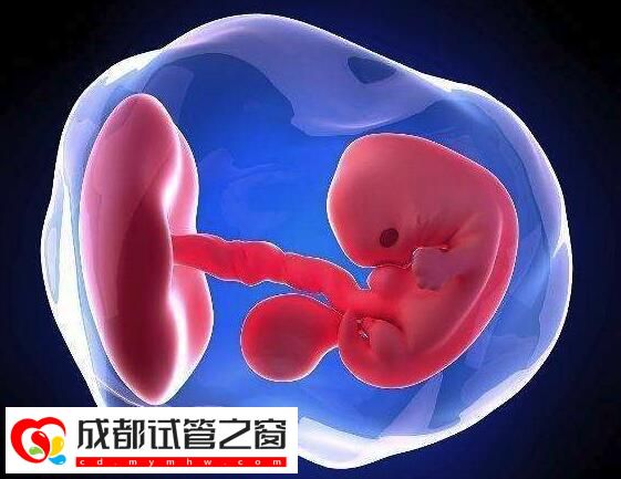 胎停并非悄无声息的,有这些变化都是胎停的暗示信号(图2) 胎停并非悄无声息的,有这些变化都是胎停的暗示信号(图2)